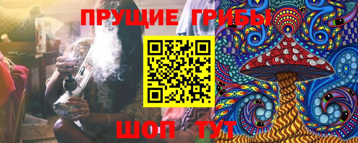 Лянтор  наркотики  Вход с VPN  Псилоцибиновые грибы Psilocybine cubensis 