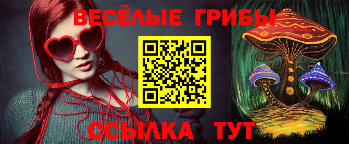 Псилоцибиновые грибы прущие грибы Лянтор